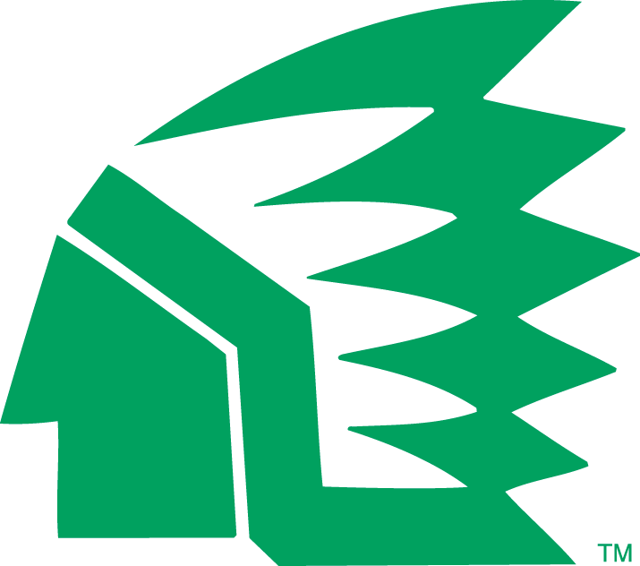 North Dakota Fighting Hawks 1976-1999 Primary Logo diy DTF decal sticker